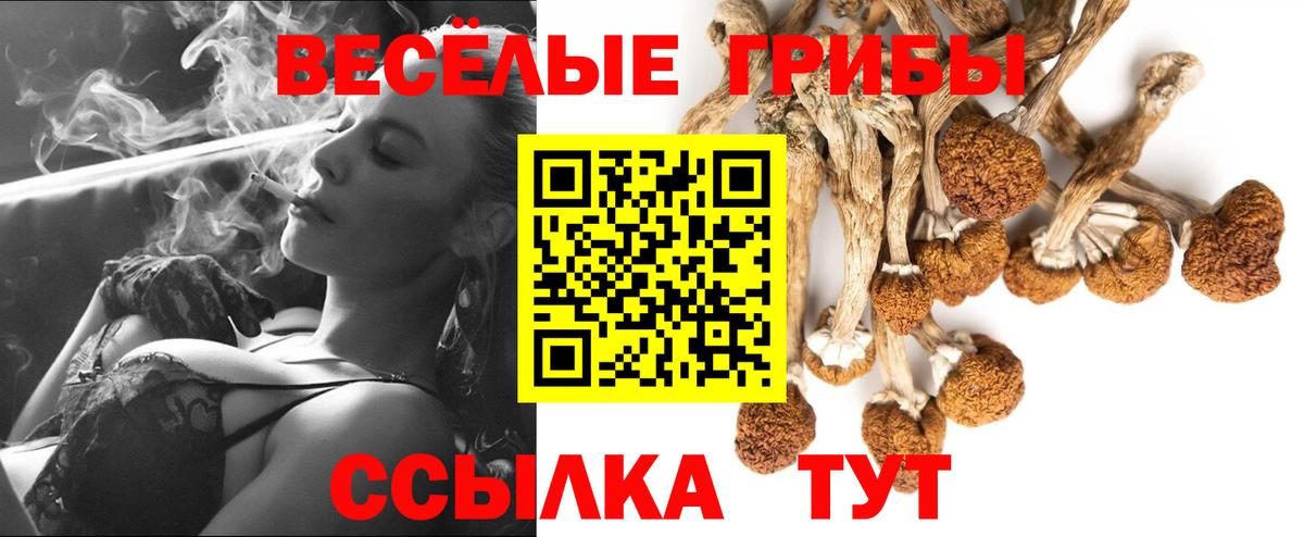 Псилоцибиновые грибы Magic Shrooms  Галлюциногенные грибы Magic Shrooms  Вход с VPN  Камышин 