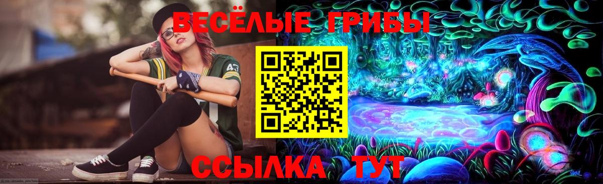 Галлюциногенные грибы ЛСД Камышин